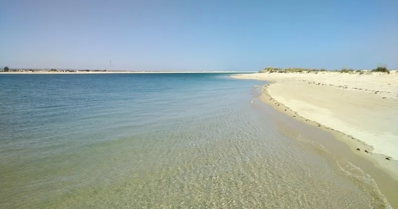 Passeio de Meio Dia na Ria Formosa