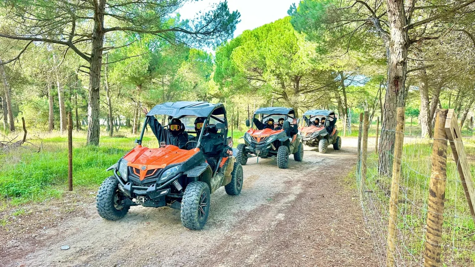 Dust Breaker - Buggy Tour