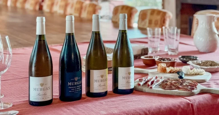 Prova de Vinhos Vertical com visita à Quinta
