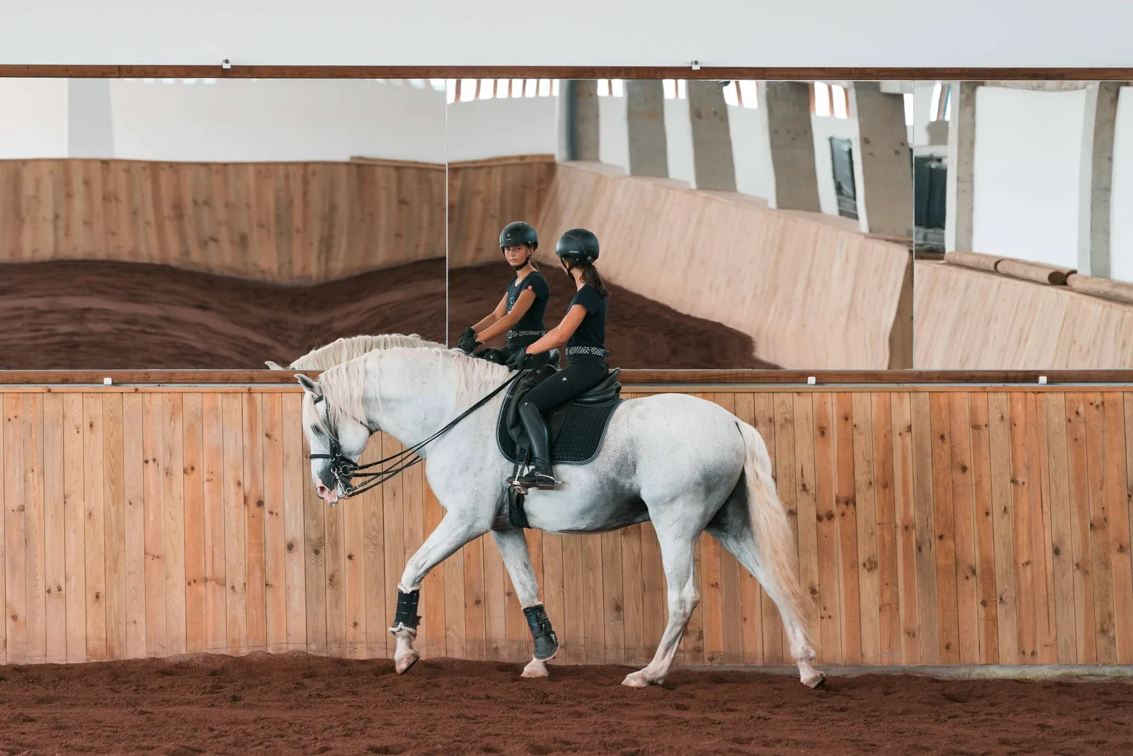 Experiência Equestre Intermédia
