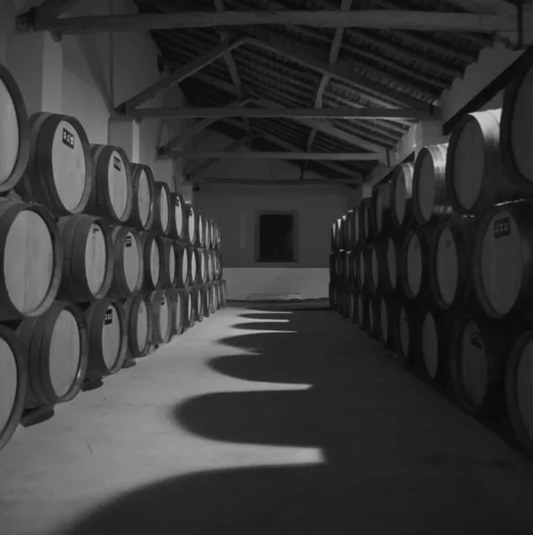 Visita e Prova de Vinhos com Degustação Produtos Locais Privada