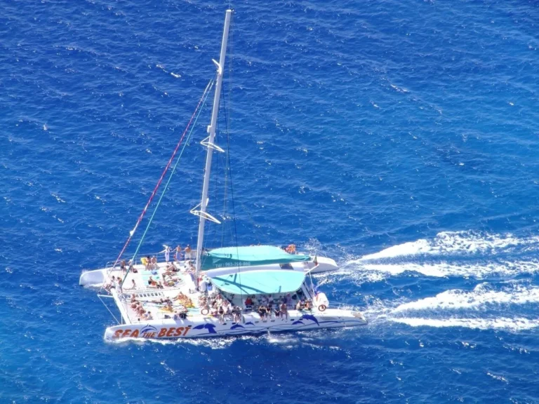 Nature, Vineyards & Wine Tasting Experience + Dolphin Watching