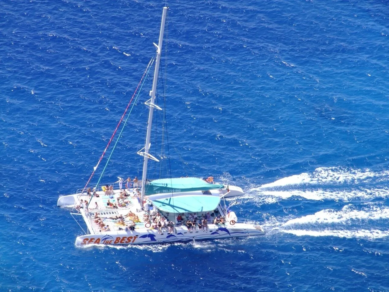 Nature, Vineyards & Wine Tasting Experience + Dolphin Watching