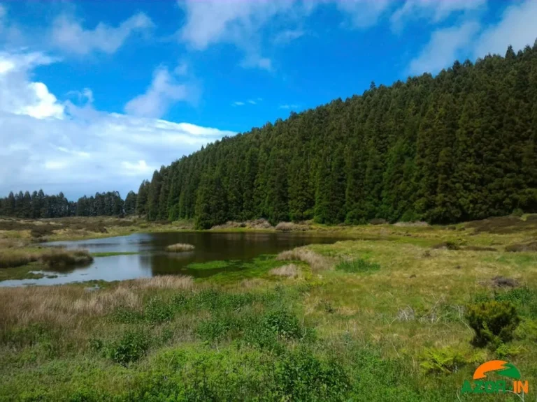 Terceira Island - Half Day Tour