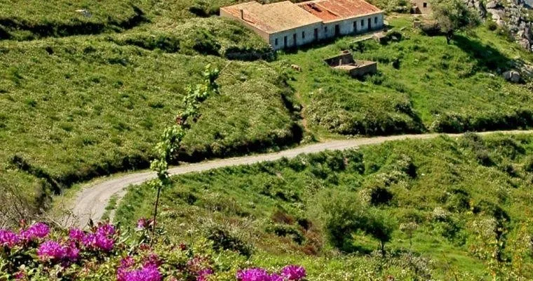 Via Algarviana • Portugal