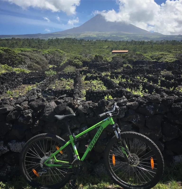 Pico Half-Day Tour + Pico Vineyards Bike Tour • Private Tour