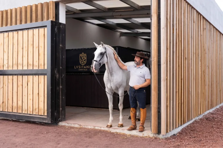 Batismo Equestre