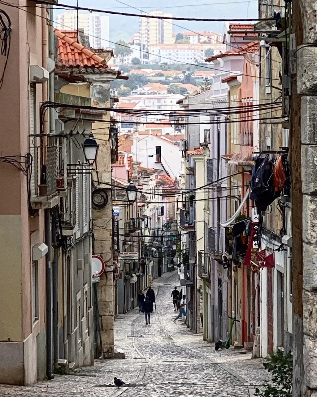 Setúbal Food tour: culture, sea, fish & garum