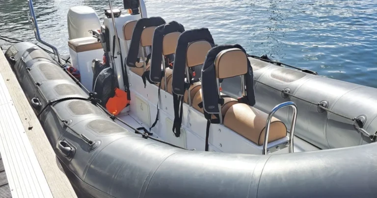 ESMERALDA - Private Whale and Dolphin Watching