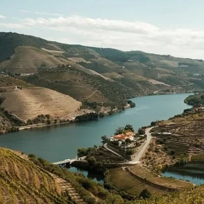 Douro Valley & Lamego Heritage Day Tour