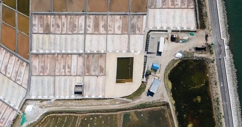 Visita Guiada às Salinas