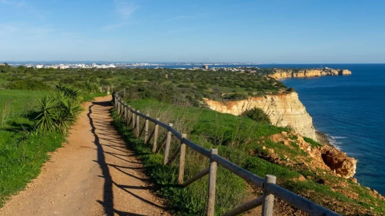 Coastal Trail E-Bike Tour | Bestseller!