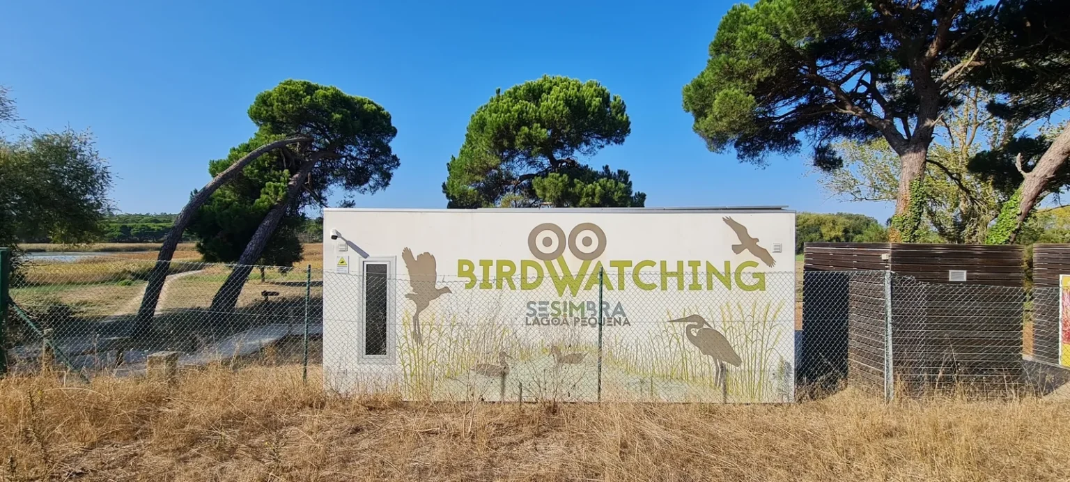 Experiencia de observación de aves en Sesimbra