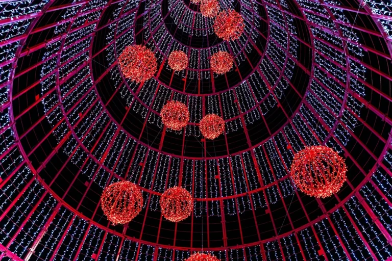 Madeira Christmas Lights & Magic Evening Tour