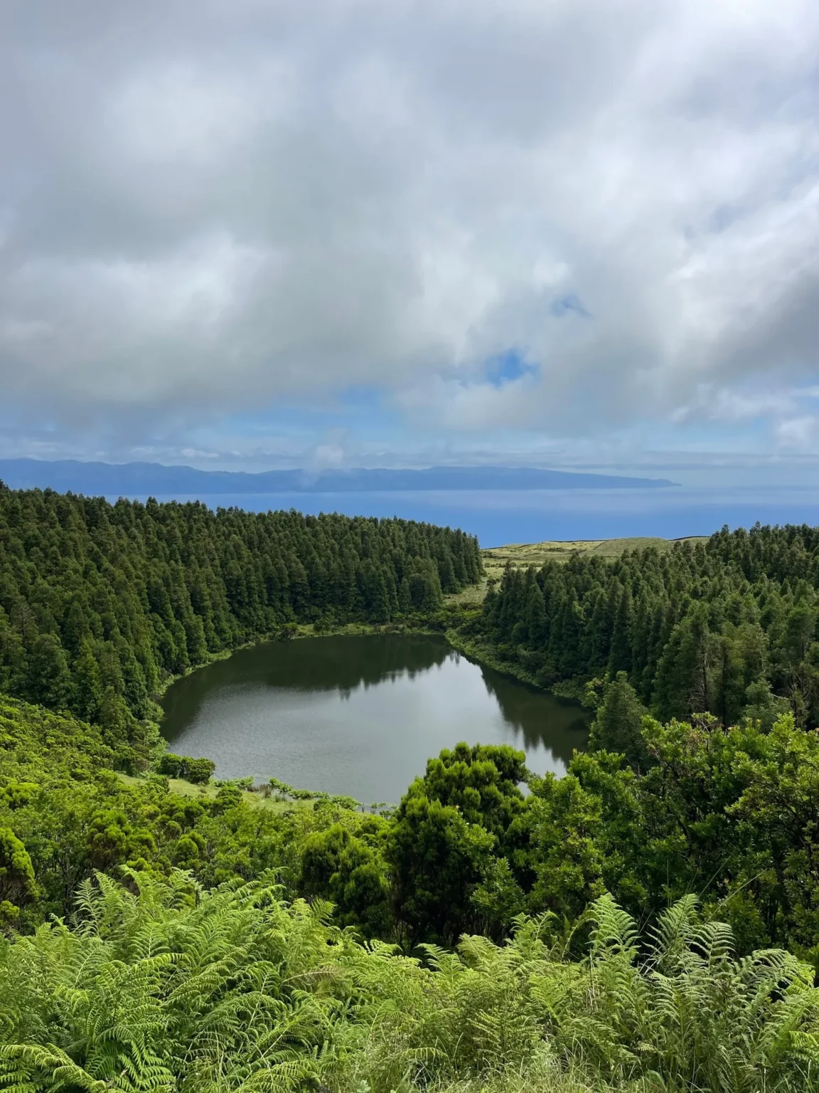Pico Secret Lagoons & Lava Caves Tour