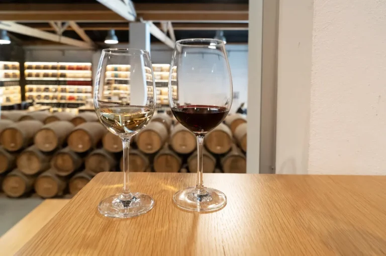 Évora: Winemaker for a Day