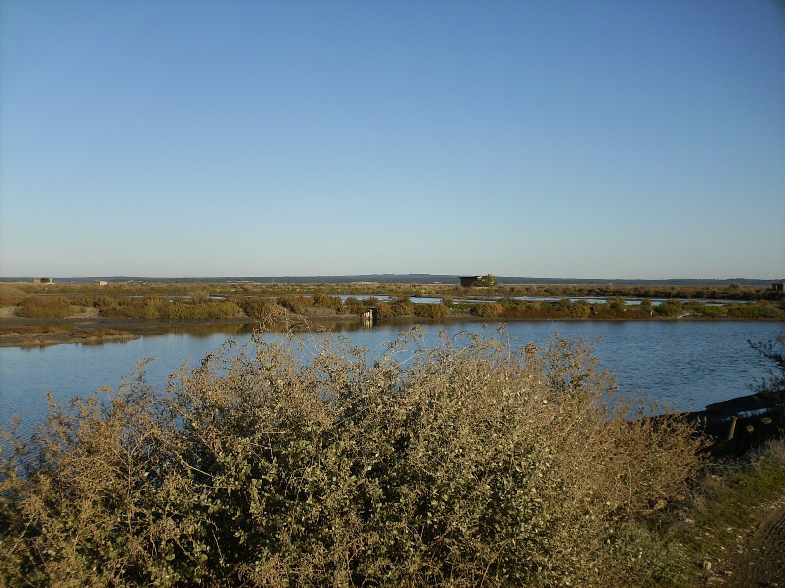 The estuary of the Sado river