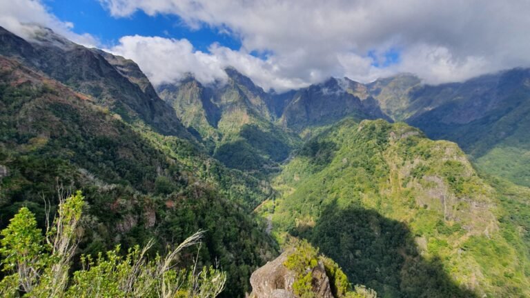 The laurel forest of Madeira seen from the Balcões viewpoint