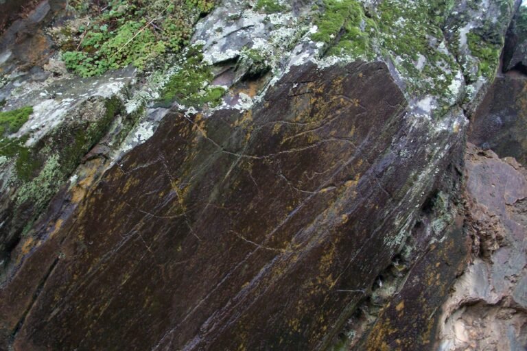 Palaeolithic engravings at Penascosa, Côa valley