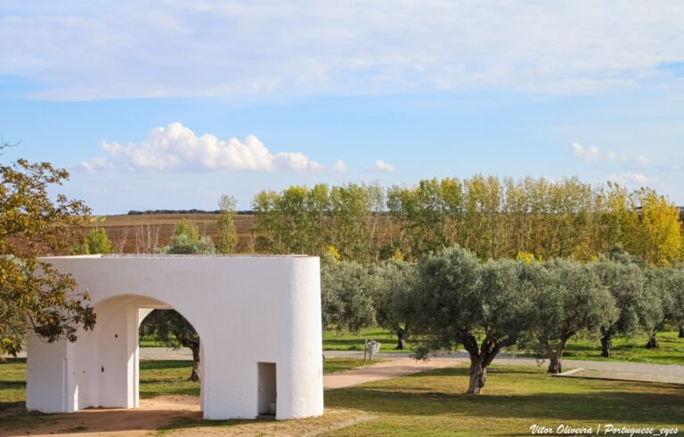 The Herdade do Esporão estate