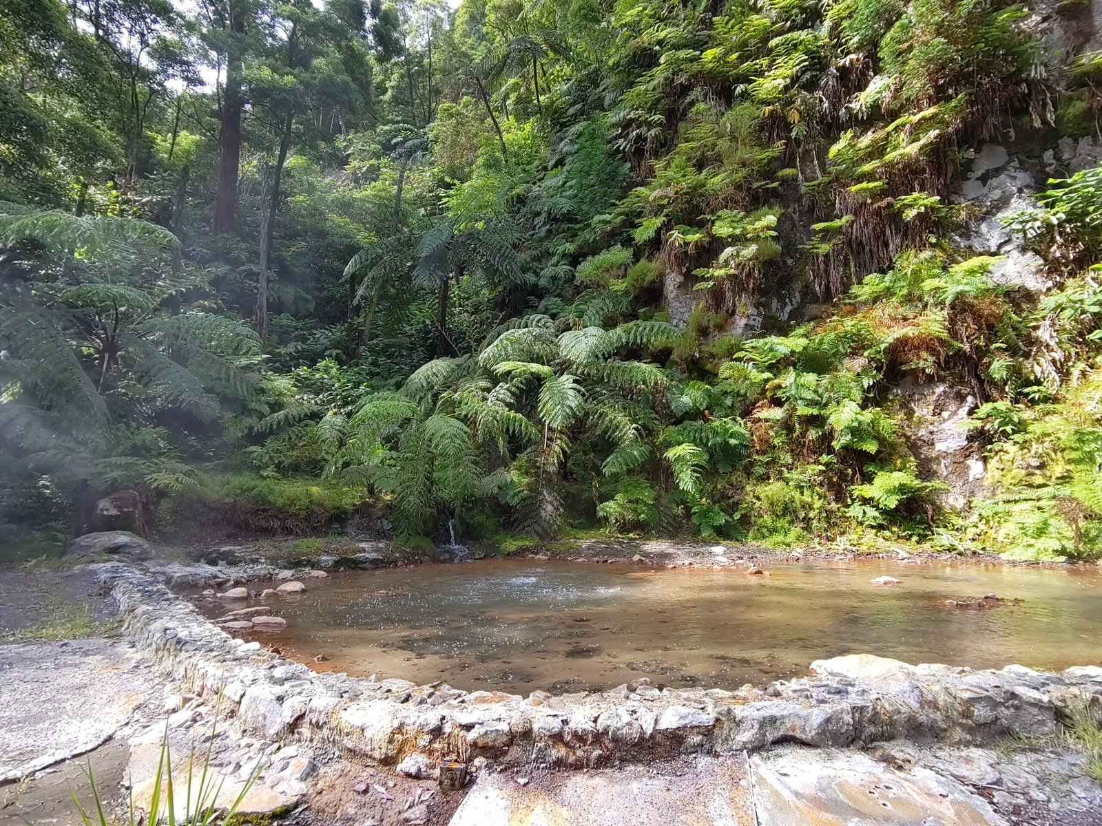 A hot spring at Caldeira Velha