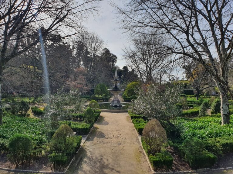 The Botanical Garden of the University of Coimbra