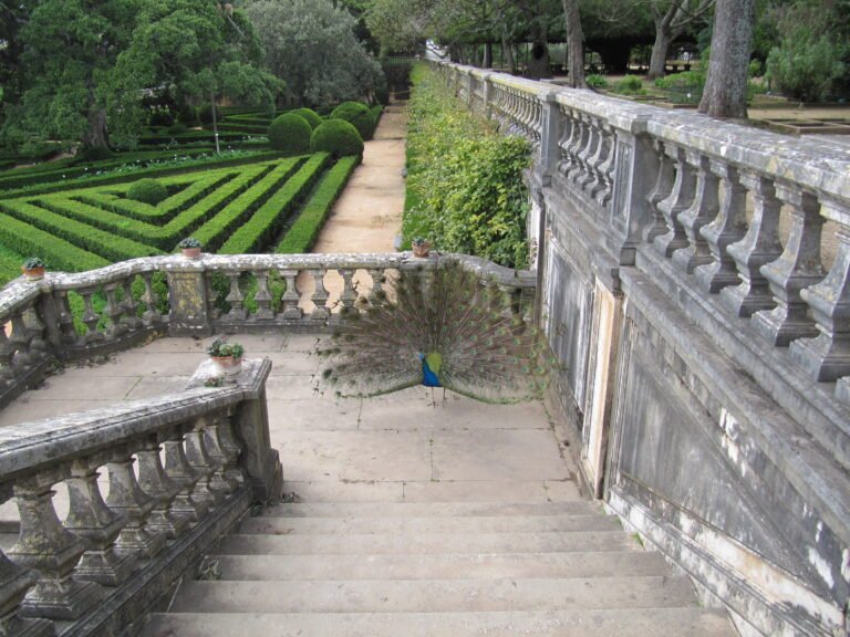 The Botanical Garden of Ajuda in Lisbon