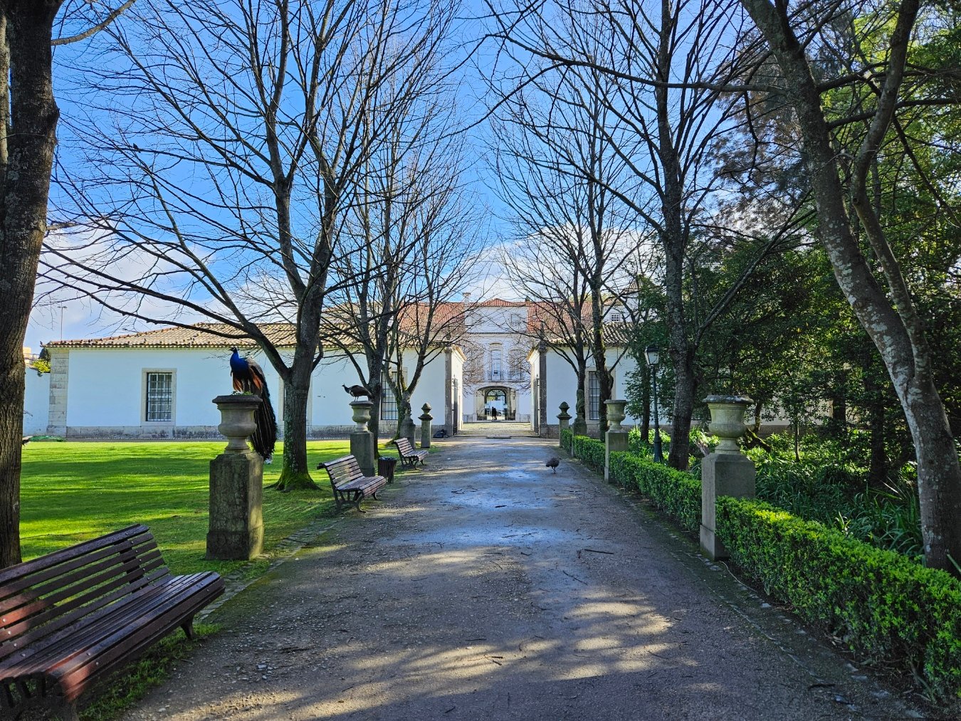 The garden of the Palácio Pimenta, home of the Museum of Lisbon