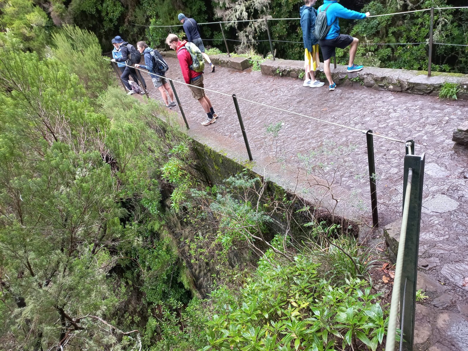 The levada and bridge on the 25 Fontes walk