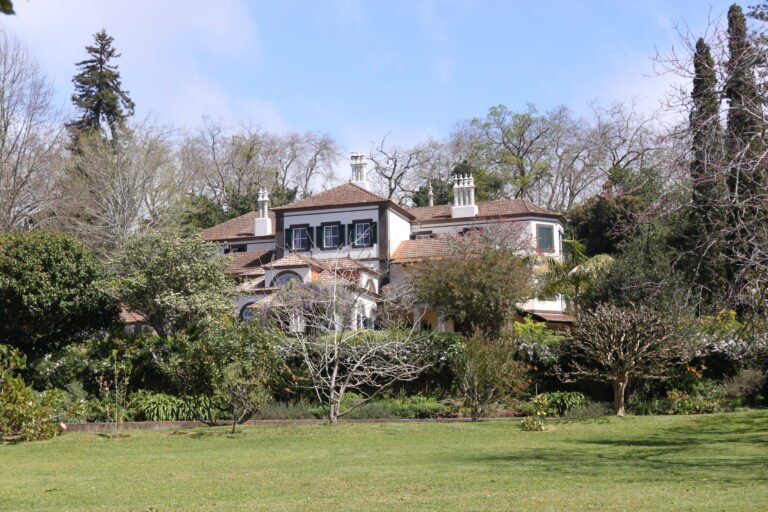 The gardens of Quinta do Palheiro Ferreiro in Funchal