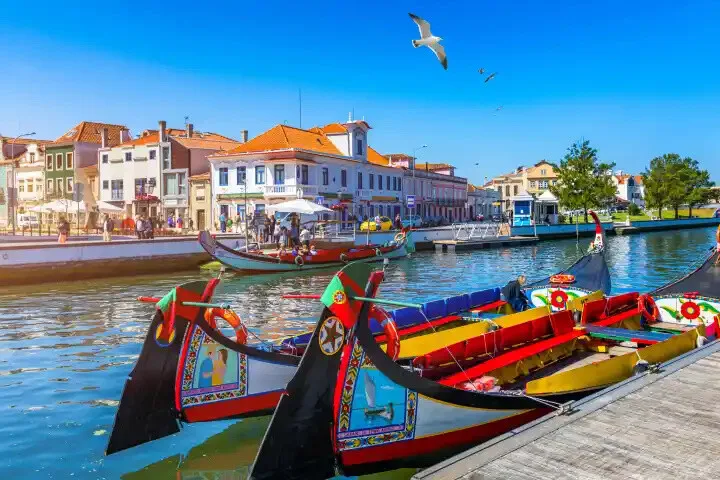 Aveiro Delights