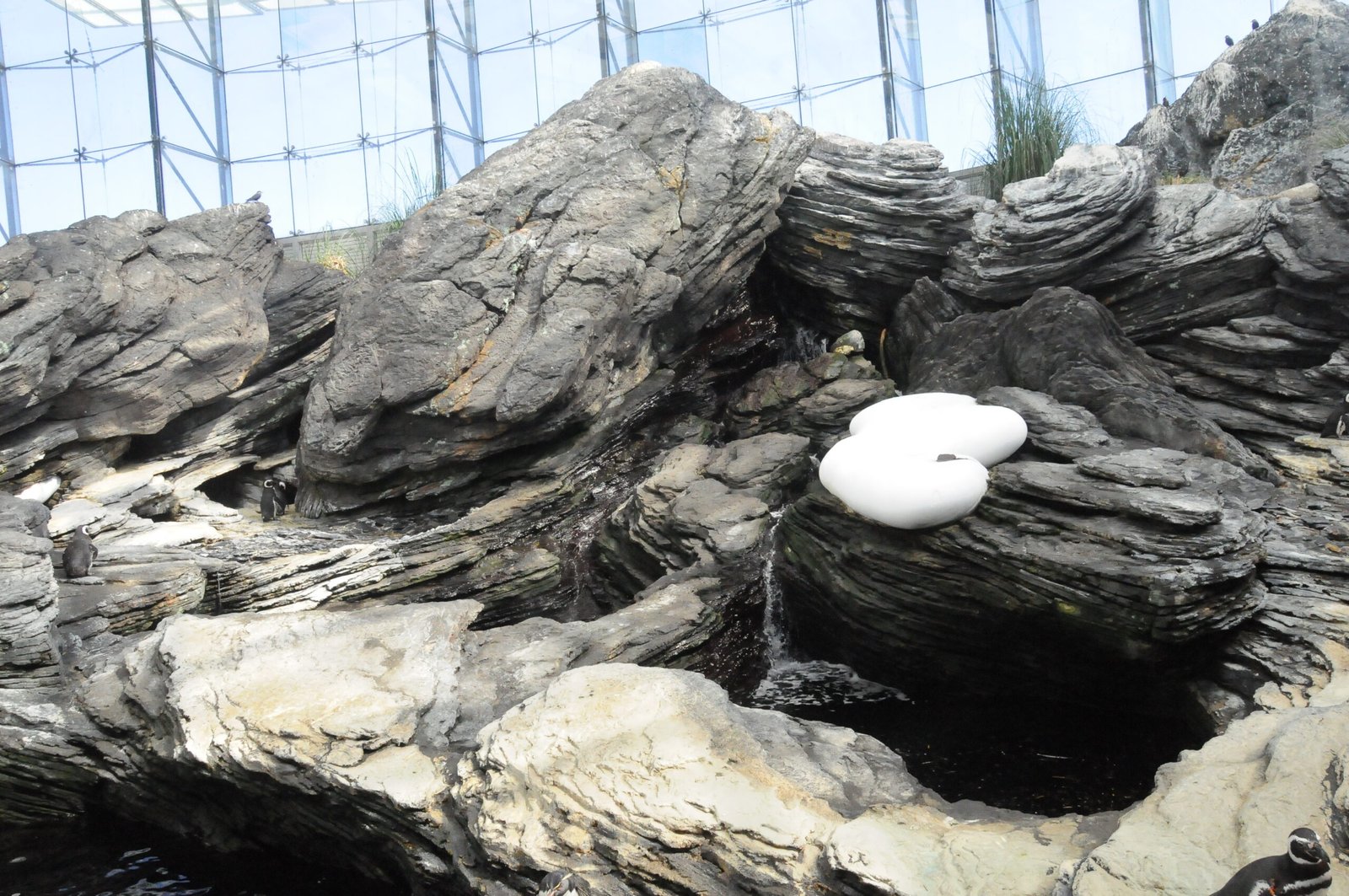The Oceanário de Lisboa