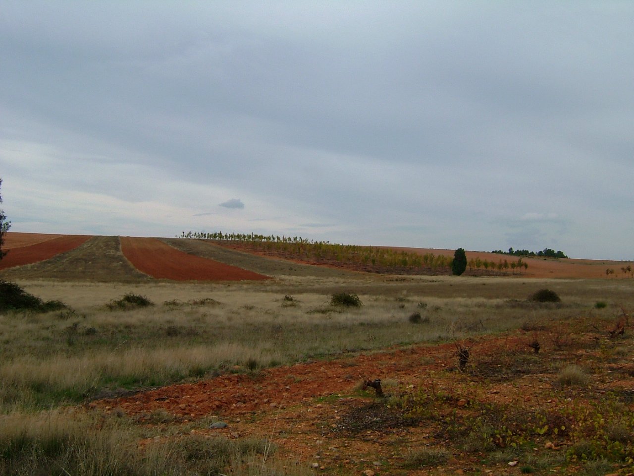 The Douro Internacional Natural Park