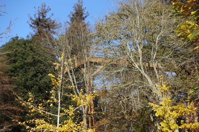 The park of Serralves in Porto