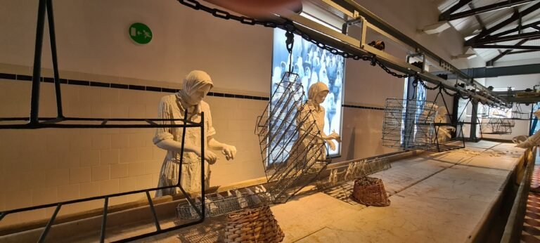 The Museum of Portimão in the former fish-canning factory