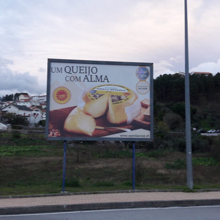 Serra da Estrela cheese