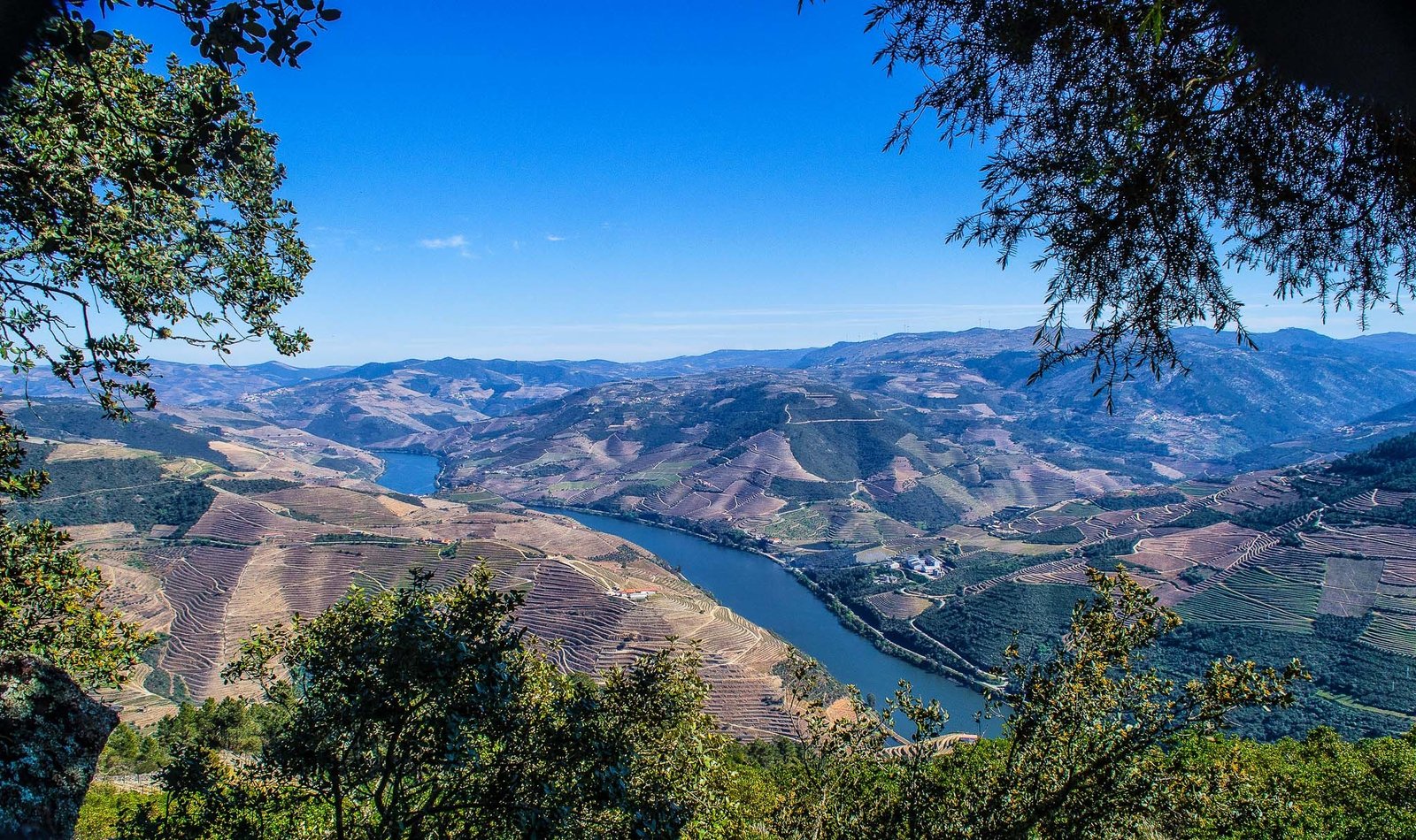 The Douro seen from São Leonardo de Galafura