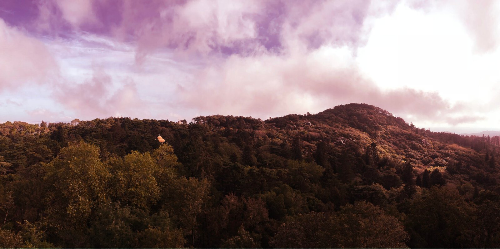 The Sintra-Cascais Natural Park
