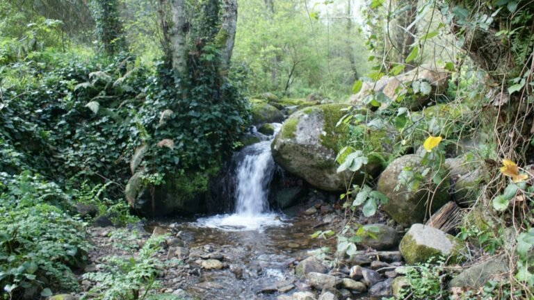 The Serra de Monchique