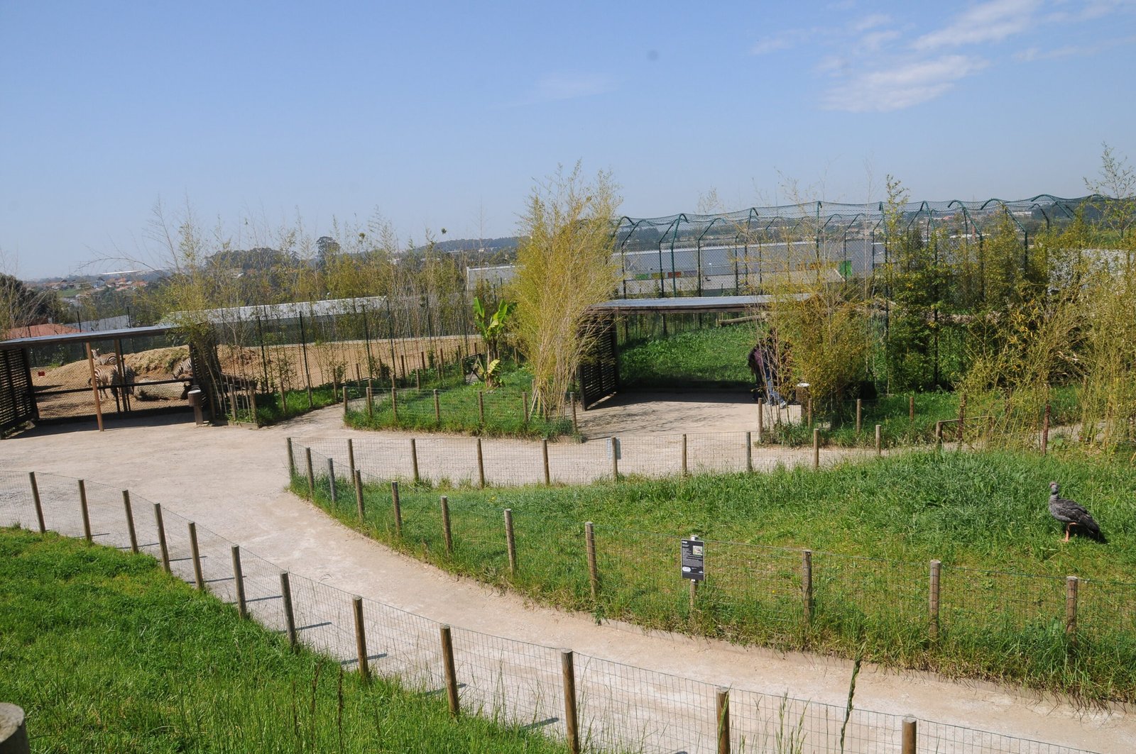 The Zoo da Maia