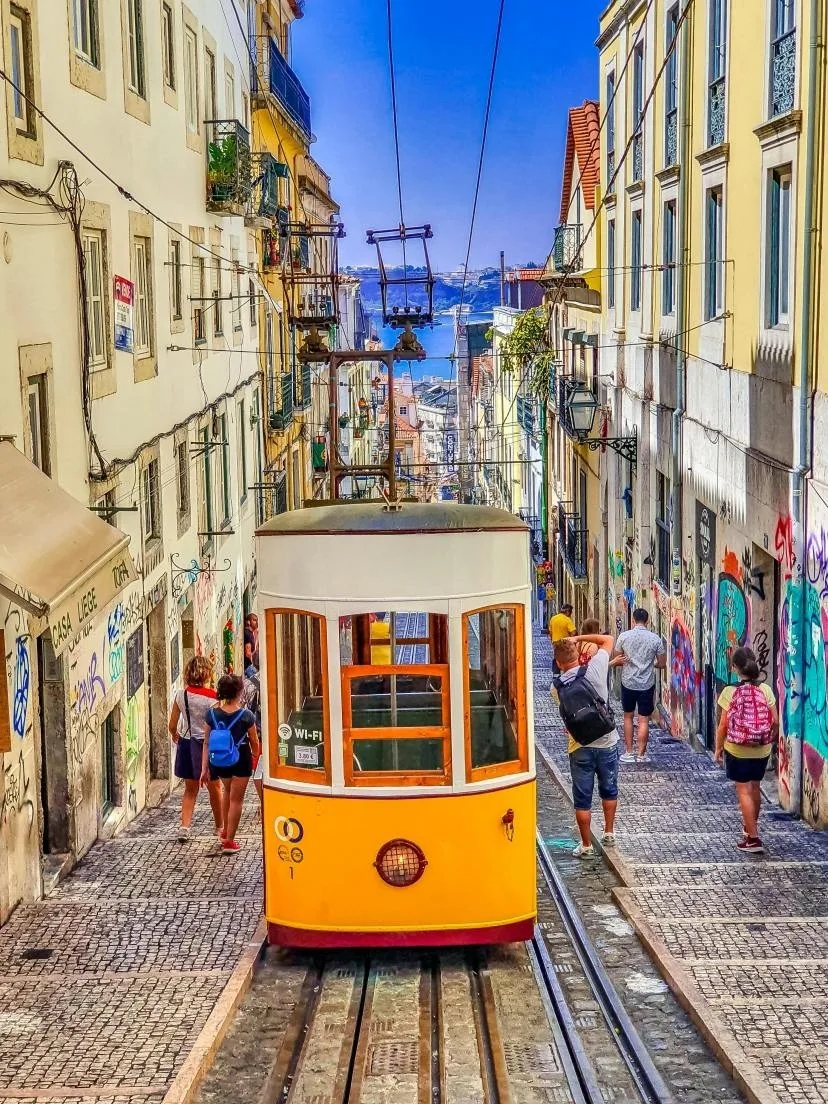 Setúbal: Wine Country Hop-On Hop-Off Bus Tour